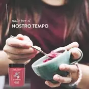 SORBET GOZDNI SADEŽI 500ml Tonitto