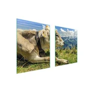 shumee STEKLENA ZAŠČITNA PLOŠČA ZA ŠTEDILNIK 85x52 COW