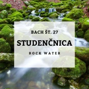 Bachove kapljice 27, Studenčnica - Rock Water, 10 ml