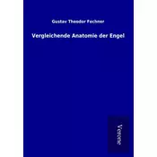 Vergleichende Anatomie der Engel