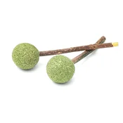 Aumüller Dentalna igrača Lollipop, komplet 2 kosov - 1 set.
