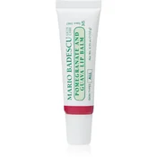 Mario Badescu Pomegranate and Guava Lip Balm vlažilni balzam za ustnice 10 g