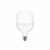 BRAYTRON Led sijalica 30W BA13-33023 71000 E27