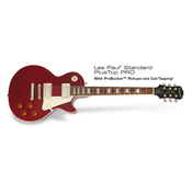 EPIPHONE ELEKTRIČNA kitara LP-STANDARD PLUS TOP PRO WR