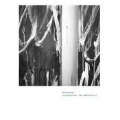 Cy Twombly. Rob McDonald. Studio Notes: My Time with Cy