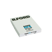 Ilford FP 4 Plus (8x10/25)