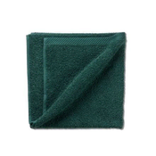 Kela Brisača KL-23274 Towel LADESSA 100% cotton green 50x100cm