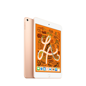 iPad mini Wi-Fi 256GB - Gold