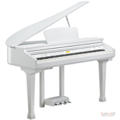 Kurzweil KAG100 White Polish