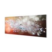 tulup.si Slika na akrilnem steklu Kapljice makro regrat 140x70 cm 4 obešalnika