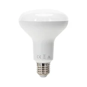 LED sijalica R90 E27/15W/230V 6500K - Aigostar