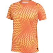 Nike Dres Dri-FIT Gardien VI Goalkeeper Women