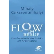 Flow im Beruf