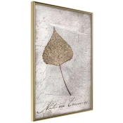 Poster - Dried Leaf 30x45