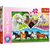 Trefl - Puzzle Beautiful horses - 200 - 260 kosov