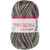 Schoeller + Stahl Fortissima Color 6-fach 90008-159 Grey Multicolour Pletilna preja