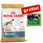 Veliko pakiranje Royal Canin Breed + Quick Pick etui z vrečkami za iztrebke gratis! - Boxer Junior (12 kg)