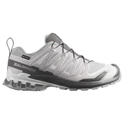 Moška tekaška obutev Salomon Xa Pro 3D V9 GTX Alloy/Castlerock/Lunar Rock UK 9