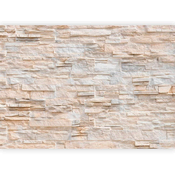artgeist Fototapeta Stony Gracefulness, 450x315cm