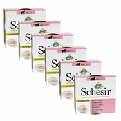 Schesir cat piščanec v obari 6x70 g