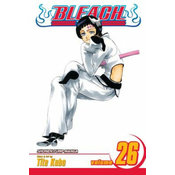 Bleach, Vol. 26