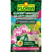 Obrišite navlaženo z listi orhidej in sobnih rastlin