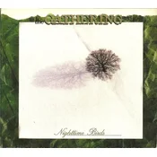 The Gathering - Nighttime Birds (Limited Edition) (LP)