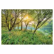 Komar foto tapet 8-524