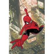 AMAZING SPIDER MAN TORN