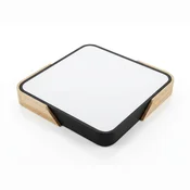 LED plafonjera R-A15