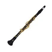 Klarinet Bb 17/7 zlat 309RRGOLD Ripa - Ripamonti