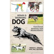 Athletic and Working Dog