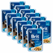 Vrečka BRIT Premium Cat Delicate Fillets in Gravy with Chicken 12 x 85 g