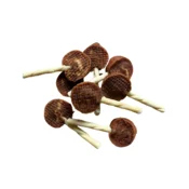 PET PRO Lizalica za pse Snacks od govedine, 350 g, 31 komad