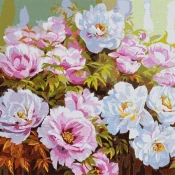 Ideyka: Barvanje po številkah binkoštnice vrtnice - 50 x 50 cm