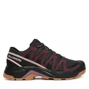 Trekking Salomon X-Adventure Recon Gtx L49096600 Smeđa