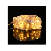 DAWN Led svetleci niz ( RD-S-YW-10 )