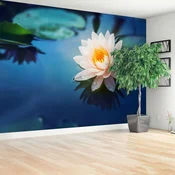 tulup.si Stenska fototapeta Lotus cvet Tapeta 416x254 cm