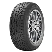 Riken SUV Snow ( 255/45 R20 105V XL )