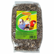 Avicentra sončnica - 500 g