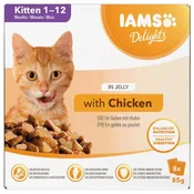 IAMS IAMS Delights Junior v želeju - mokra hrana za mačke - 8 x 85 g