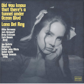 Lana Del Rey - Did You Know That Theres A Tunnel Under Ocean Blvd. (2 Vinyl)