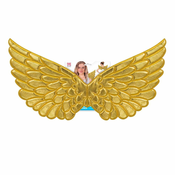 Widmann Odrasla Angelska Krila Zlata