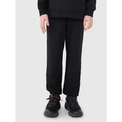Boys sweatpants 4F