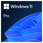 MICROSOFT Windows 11 Pro 64bit Eng Intl OEM (FQC-10528)