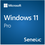 Windows 11 Pro 64Bit Polish 1pk DSP OEI DVD