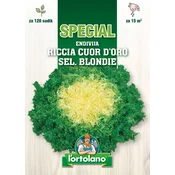 ENDIVJA RICCIA CUOR DORO sel. BLONDIE