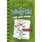 Diary of a Wimpy Kid book 3