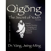 Qigong Secret of Youth