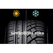 Zimska PETLAS 205/55R16 91H SNOWMASTER 2